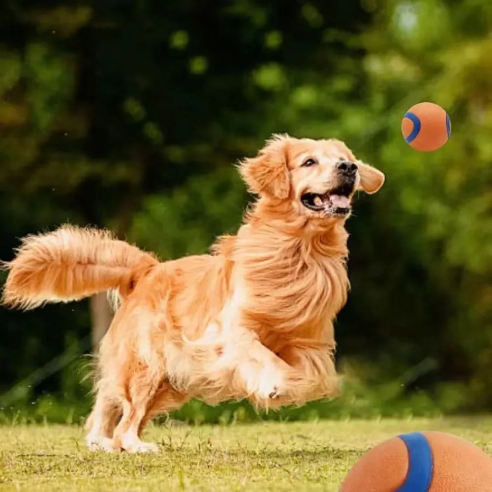 Bouncy Dog Fetch Ball