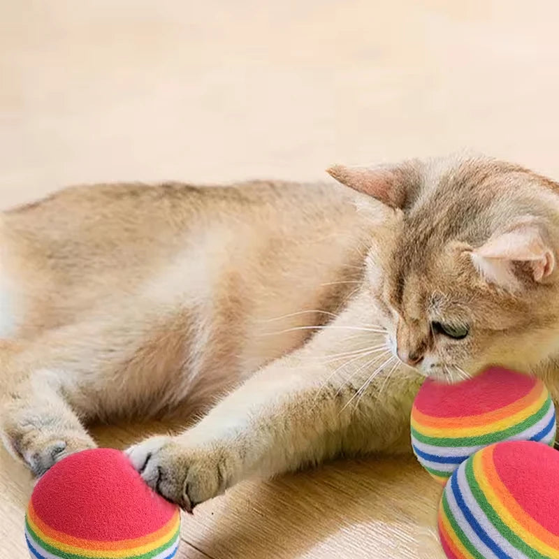 Rainbow EVA Chew Balls