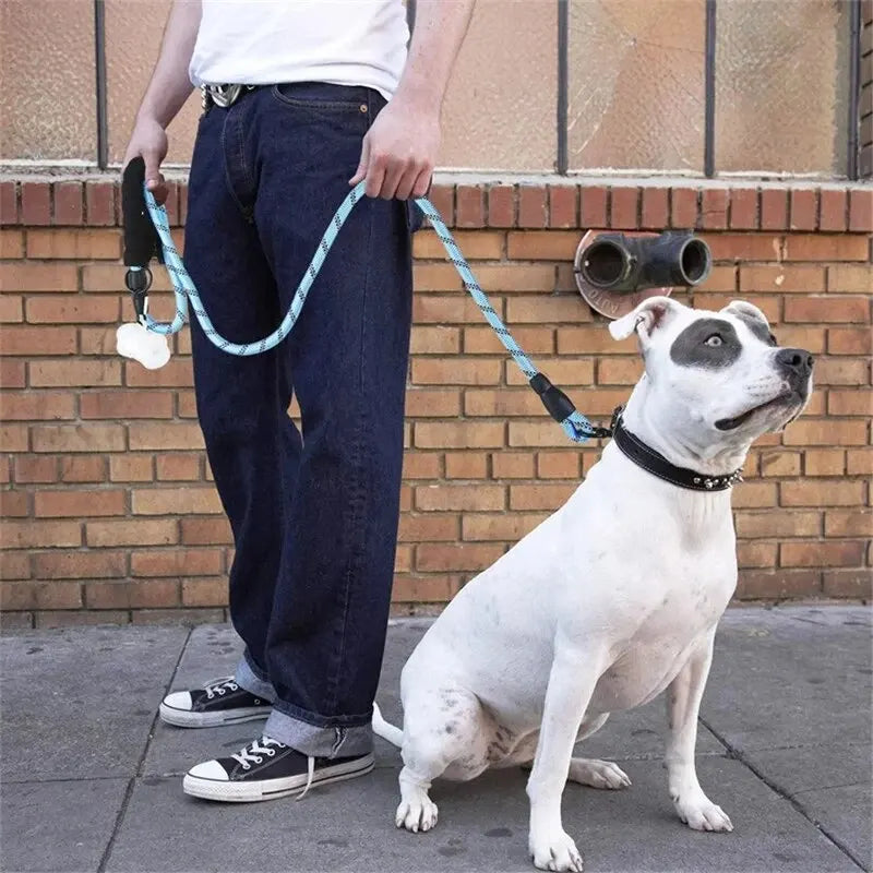 Reflective double-rope dog leash with padded handle