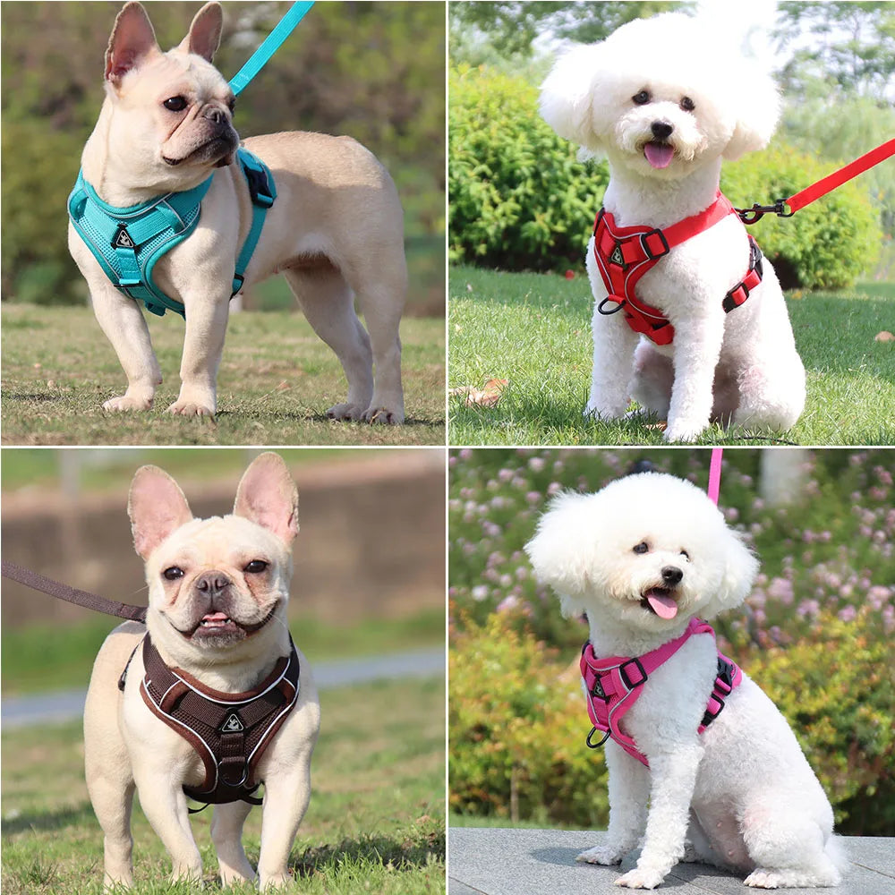 Small Dog Harness Set