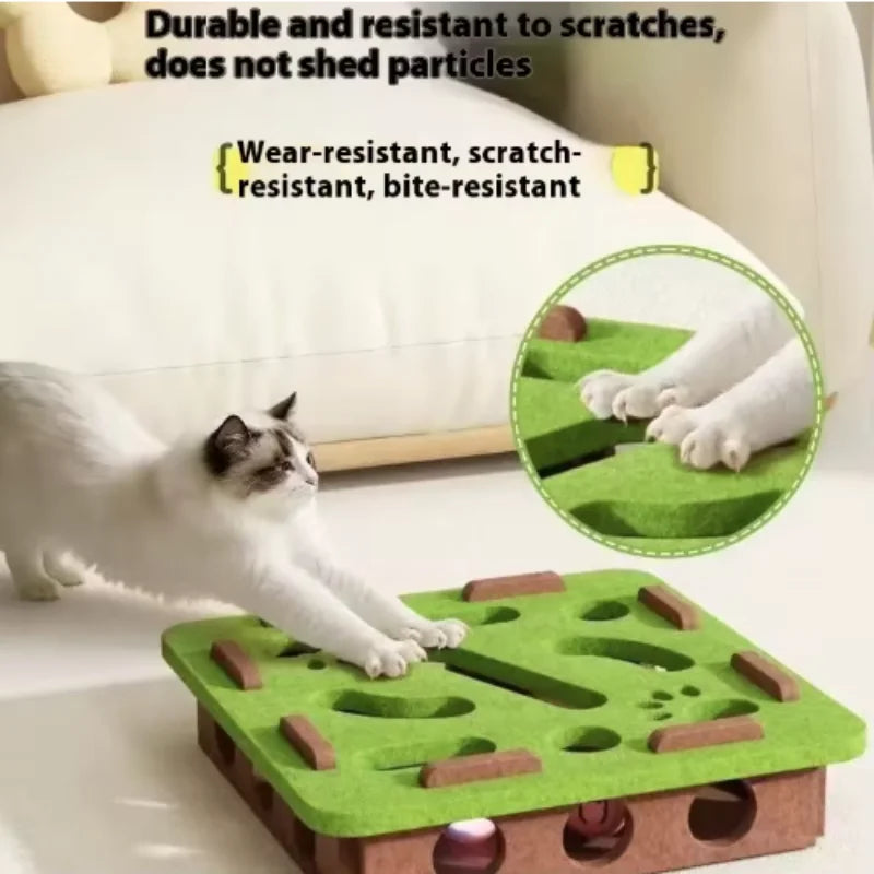 Interactive Cat Puzzle Box