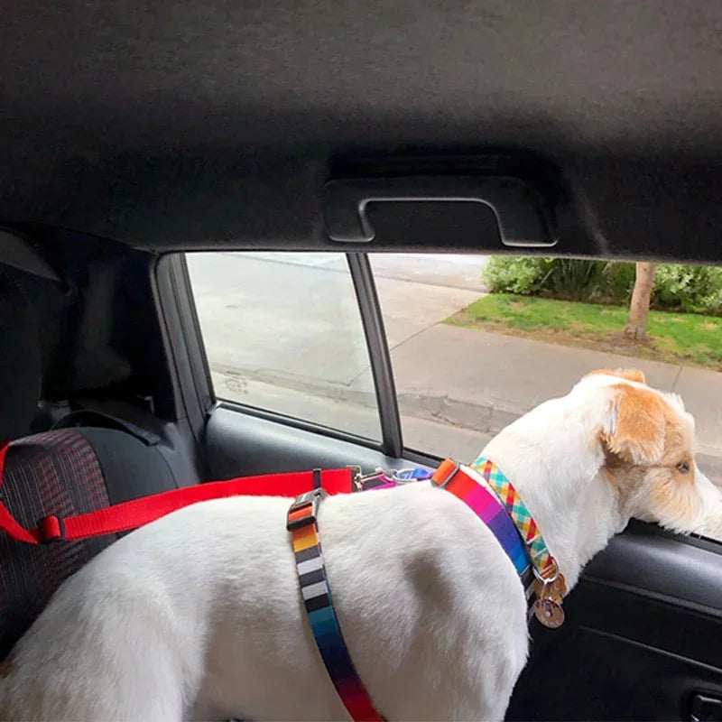 2-in-1 Pet Seat Belt
