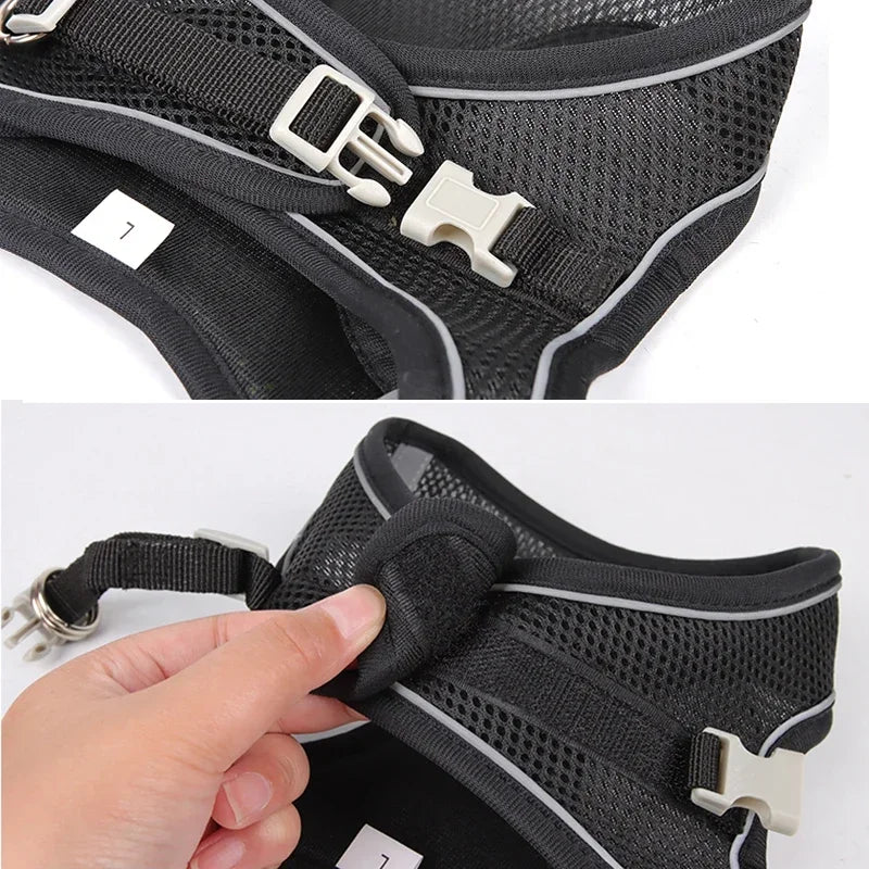 Puppy Vest Harness Set