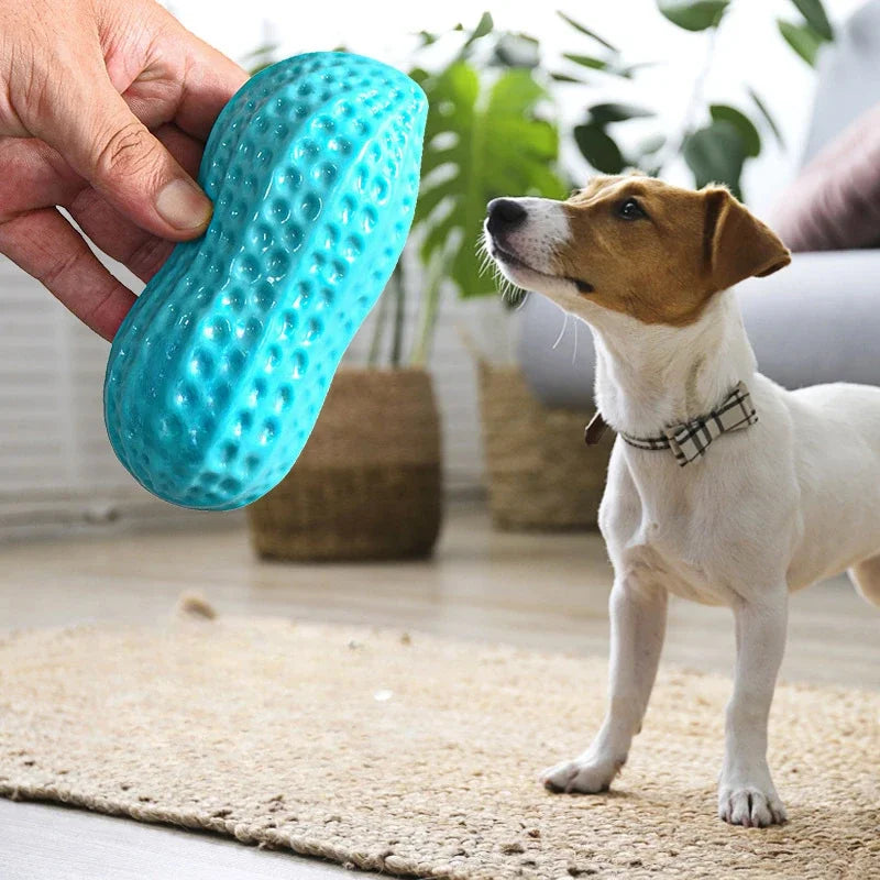 Squeaky Peanut Dog Chew Toy
