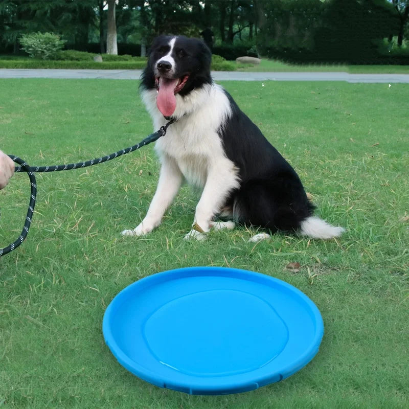 Flying Saucer Chew Disc