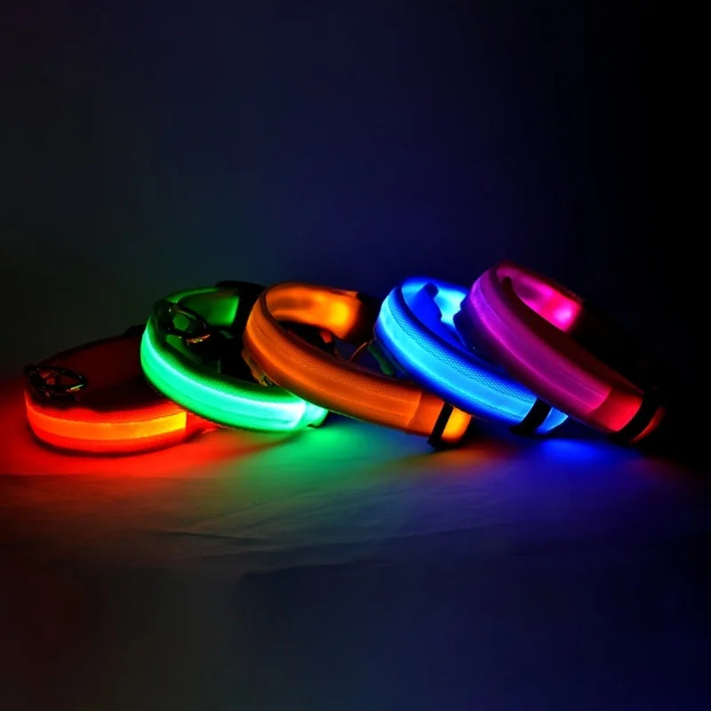 LED Glow Night Safety Leash