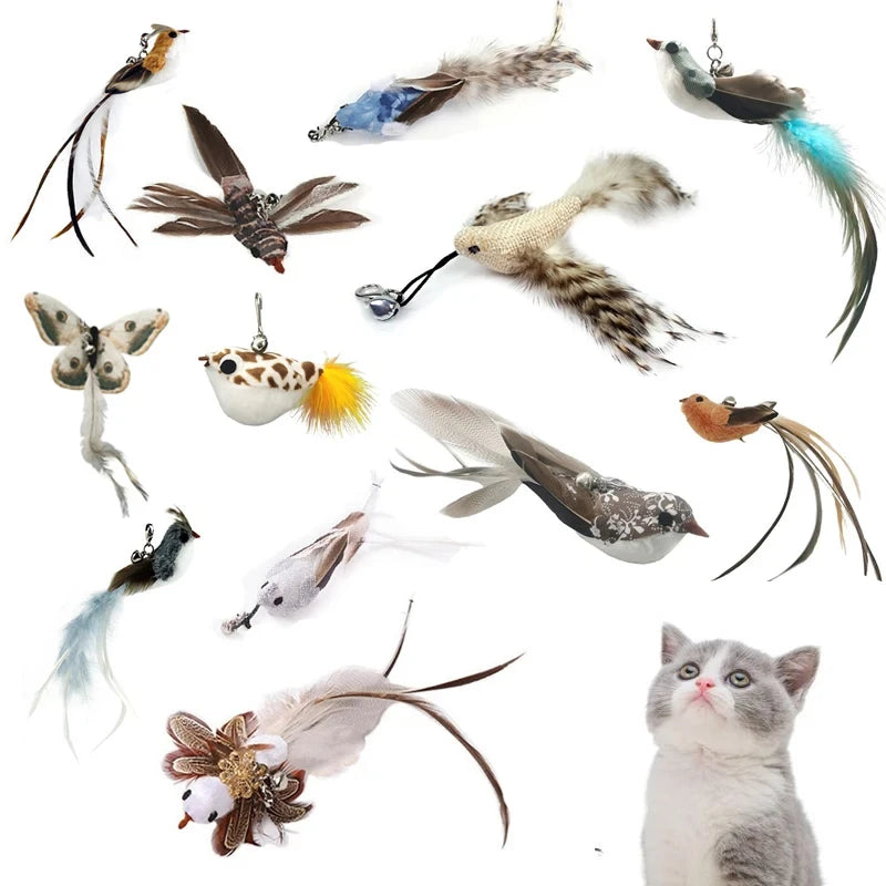 Feather Wand Cat Teaser