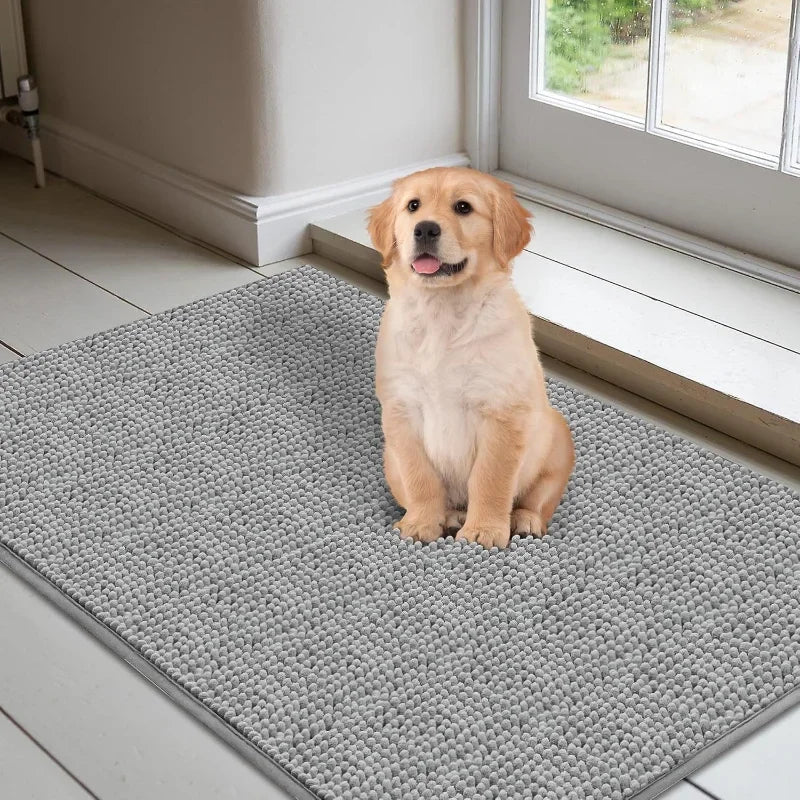 Absorbent Pet Paw Doormat