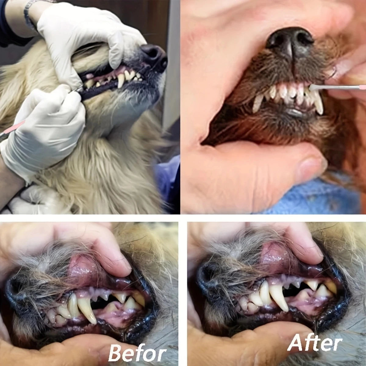 Dog Tartar Removal Tool