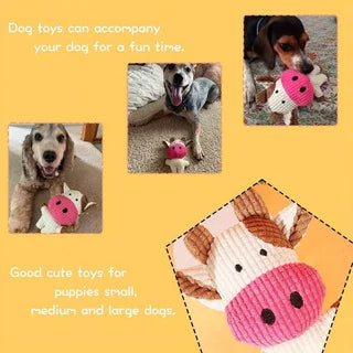 Squeaky Plush Chew Toy