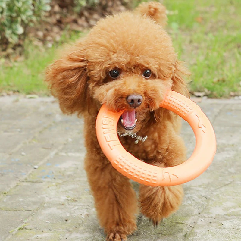 Orange EVA flying disc ring toy for dogs