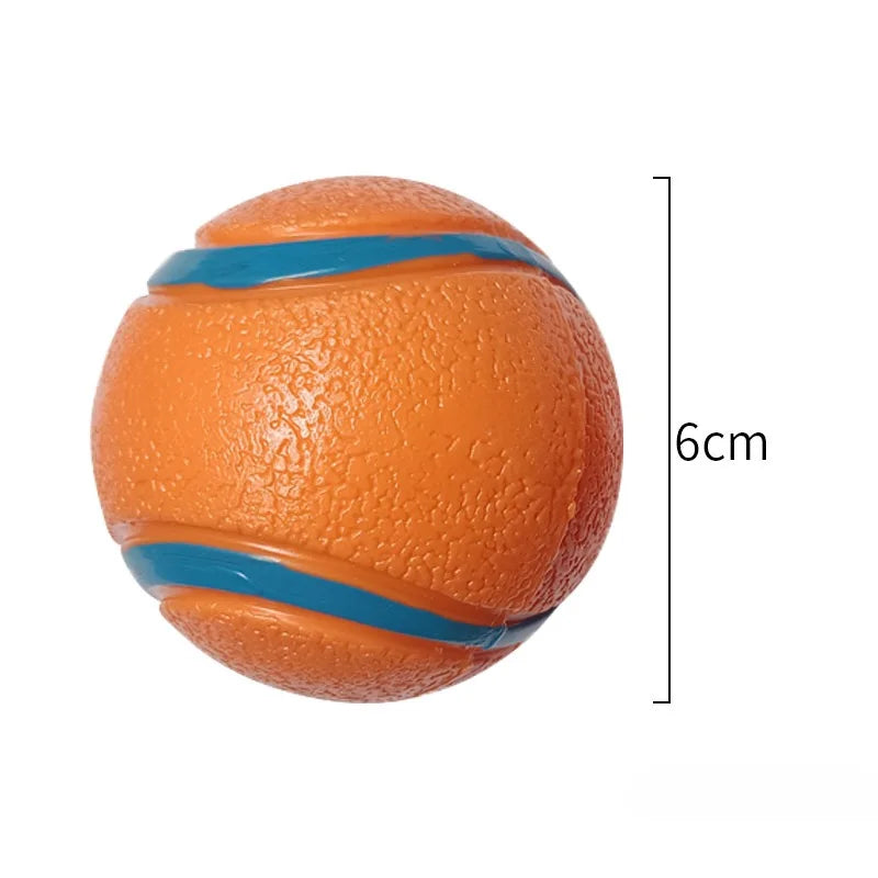Bouncy Dog Fetch Ball