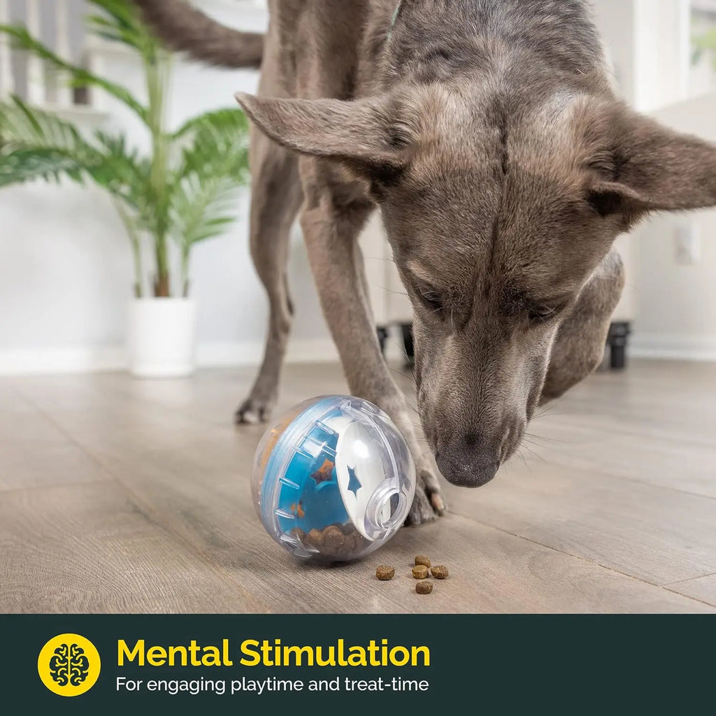 IQ Treat Dispensing Ball