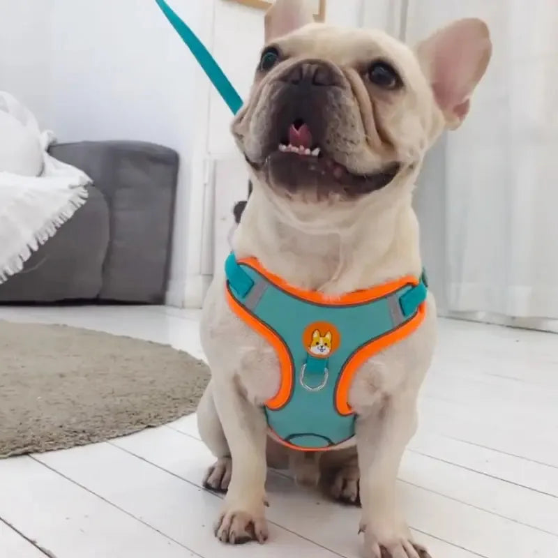 Reflective no-pull harness and leash for pets