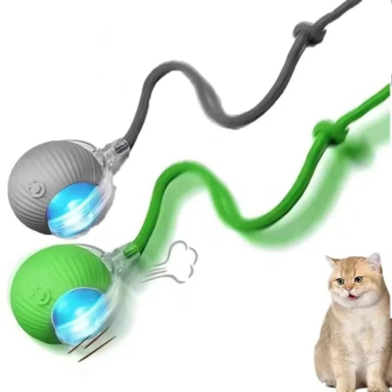 ETPU Dog Bite-Resistant Ball Round Electric Non-Toxic Molar Ball Training Pet Dog Toy Ball Food Grade Certification