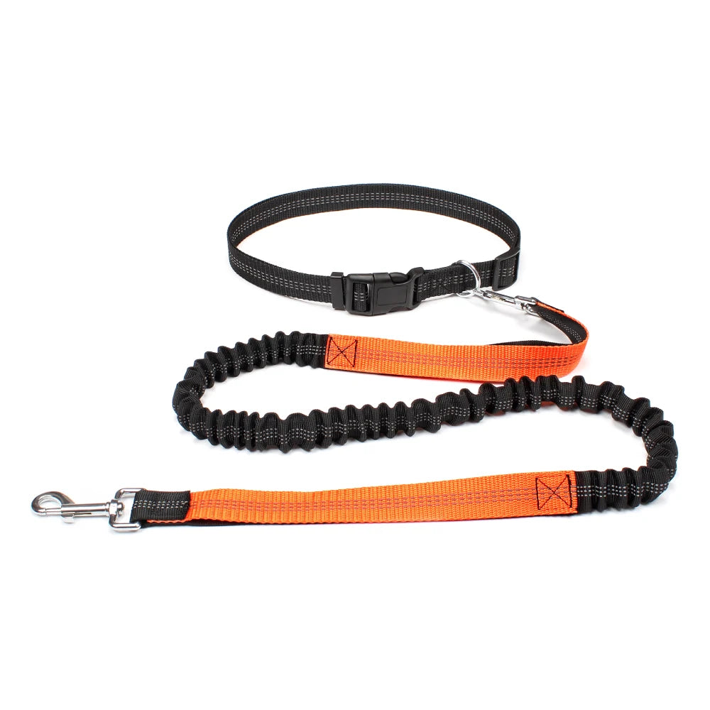 Hands-Free Running Leash