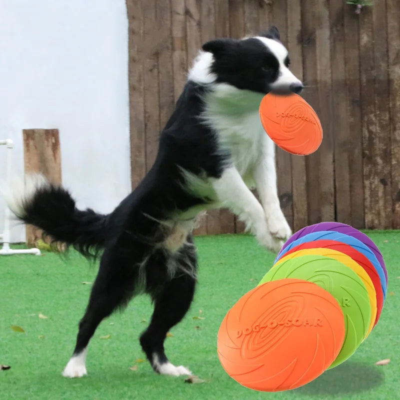 Flying Saucer Chew Disc