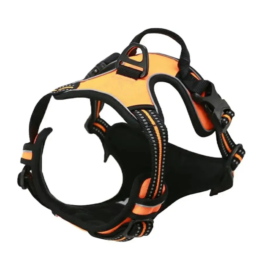 Leather Collar & Harness Set