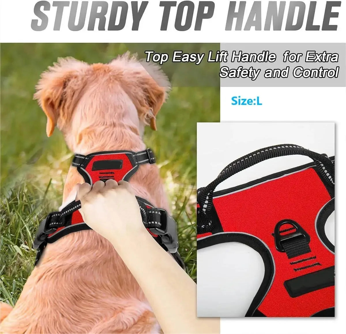 Leather Collar & Harness Set