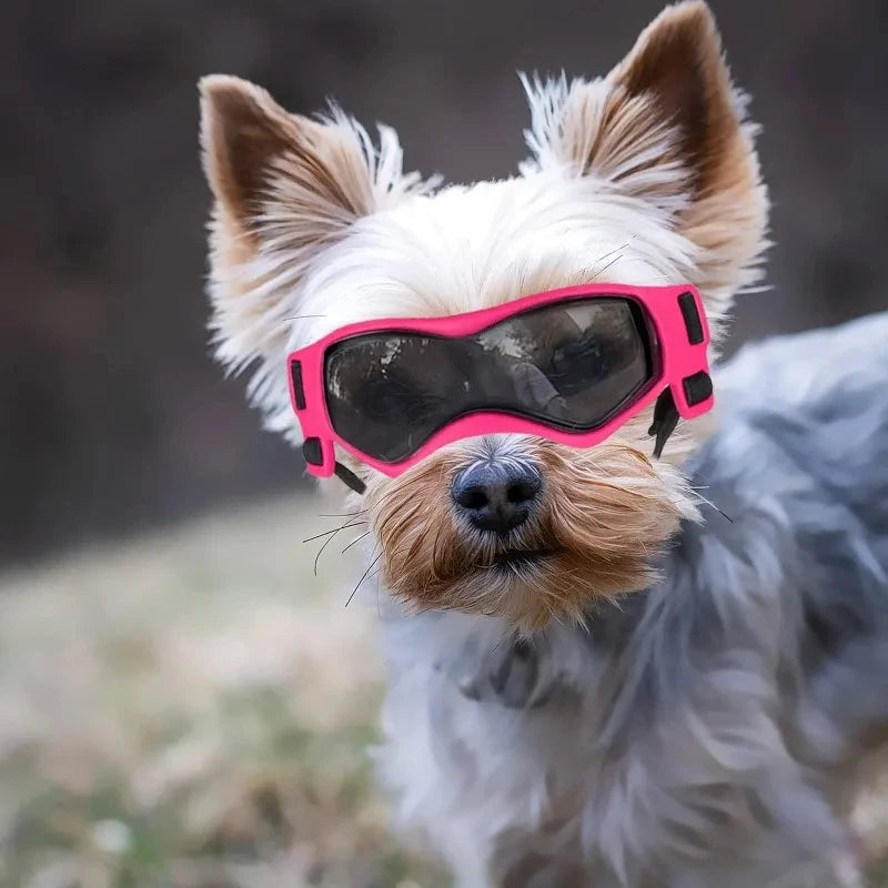 UV Protective Pet Goggles