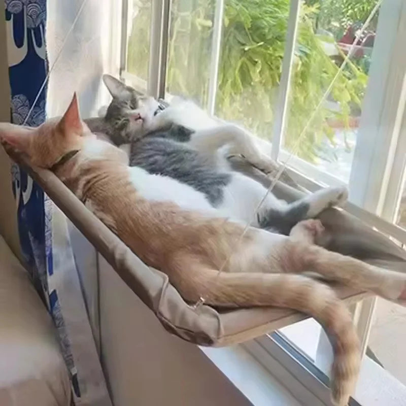 Cat Window Hammock Bed