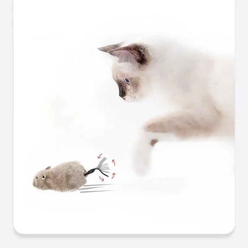 Wind-Up Plush Mouse Toy