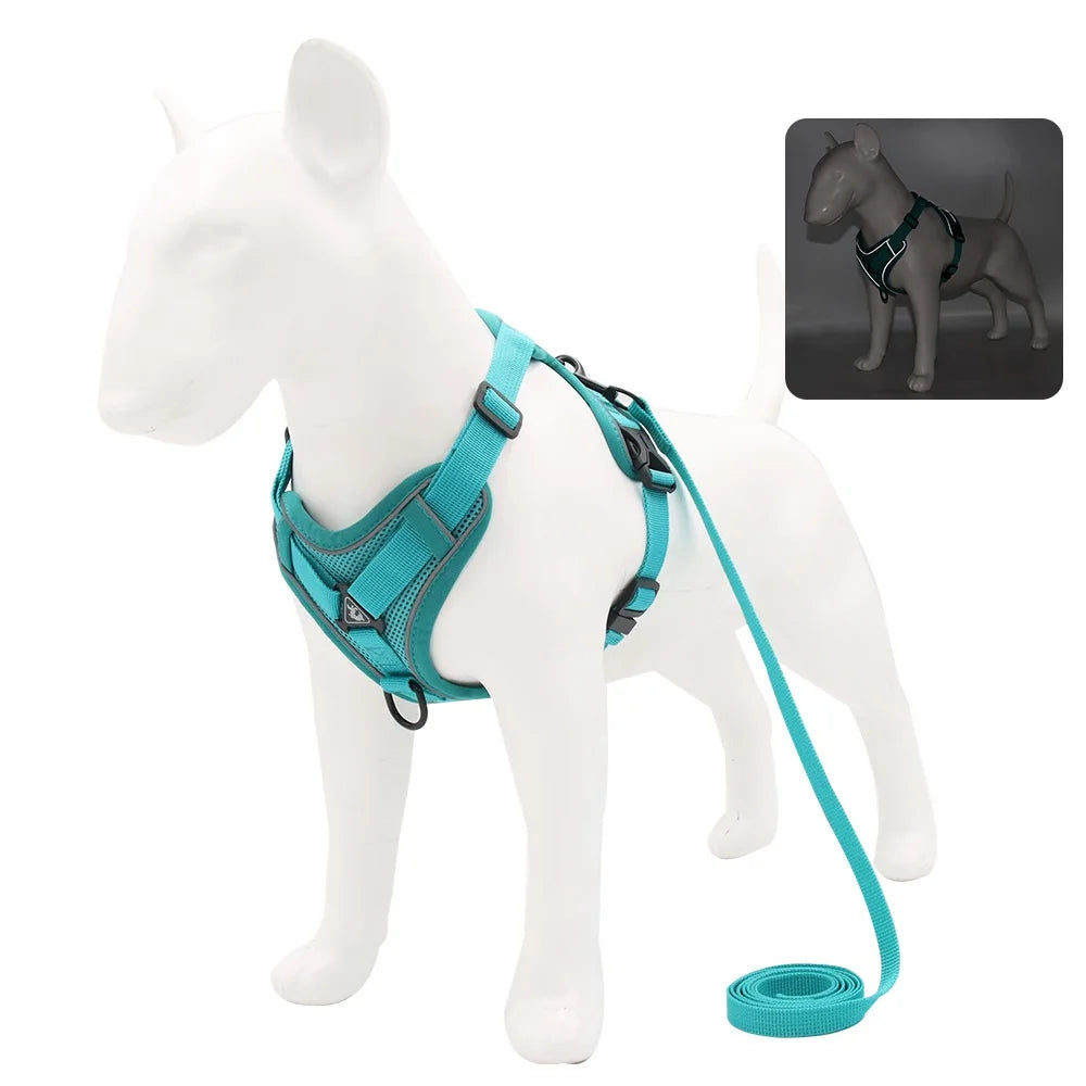 Small Dog Harness Set