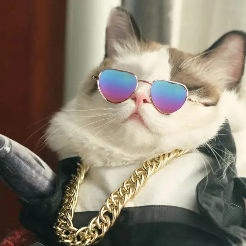 Pet Sunglasses Photo Prop