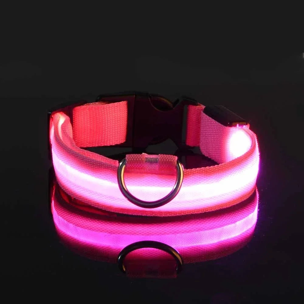 LED Glow Night Safety Leash
