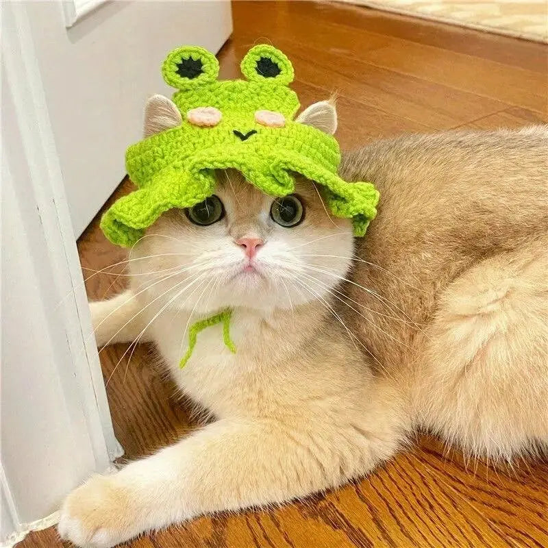 Knitted Pet Hat