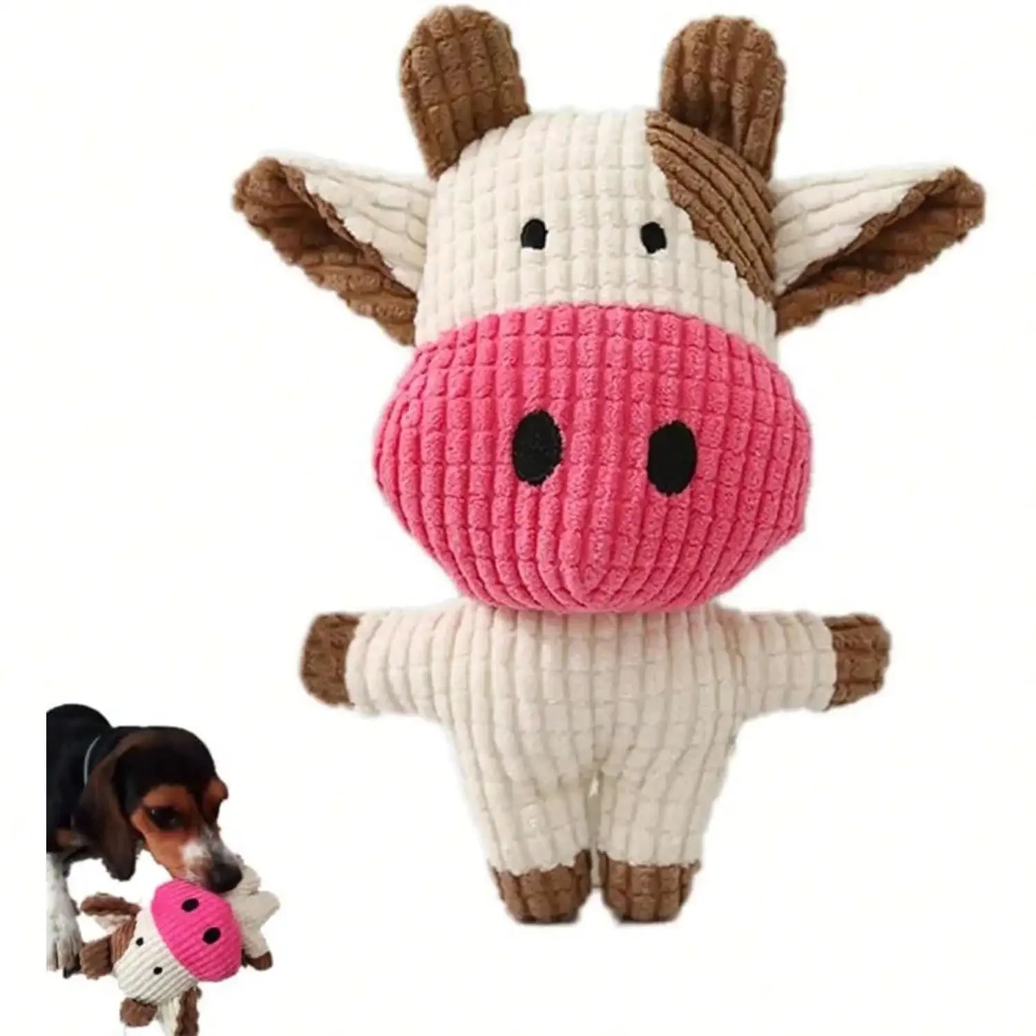 Squeaky Plush Chew Toy