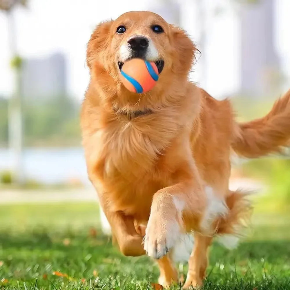 Bouncy Dog Fetch Ball