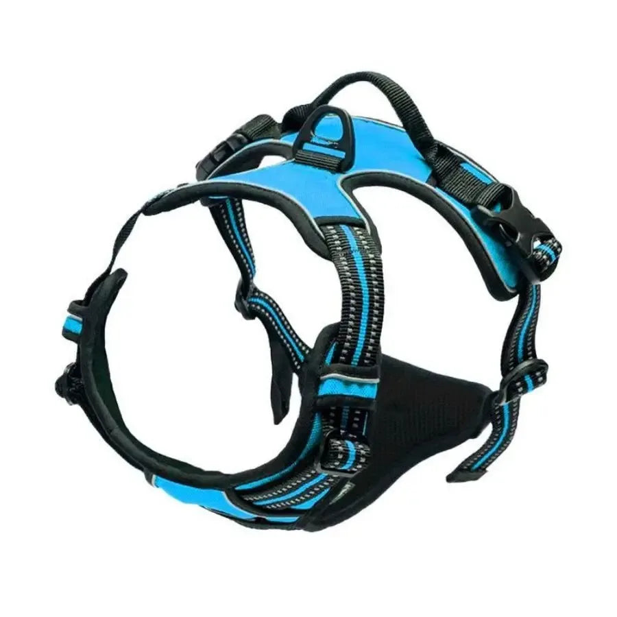 Leather Collar & Harness Set