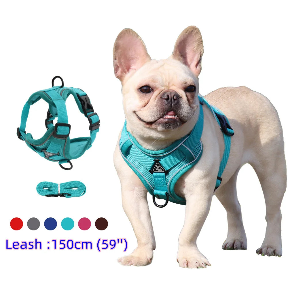 Small Dog Harness Set