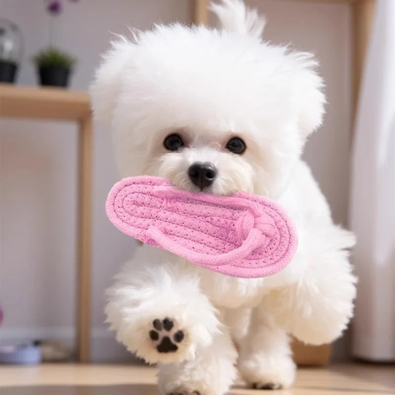 Cotton Rope Chew Toy