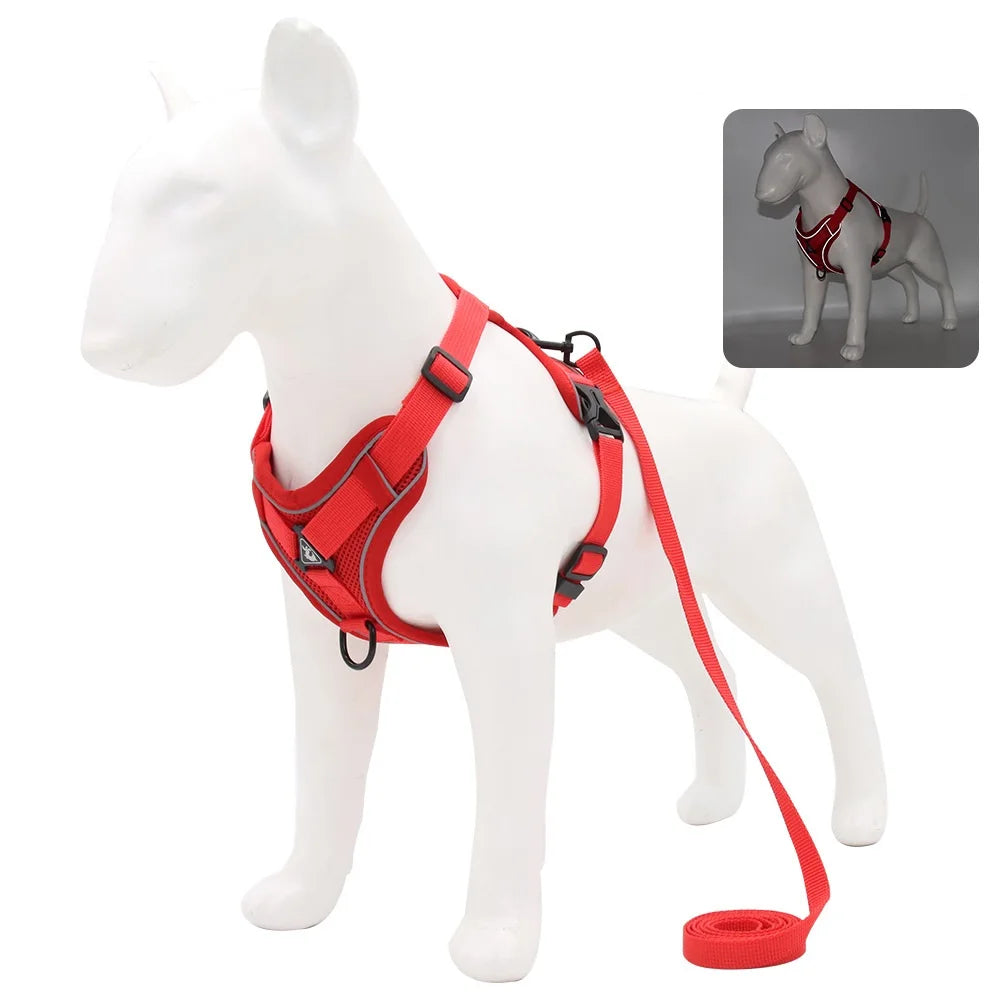 Small Dog Harness Set