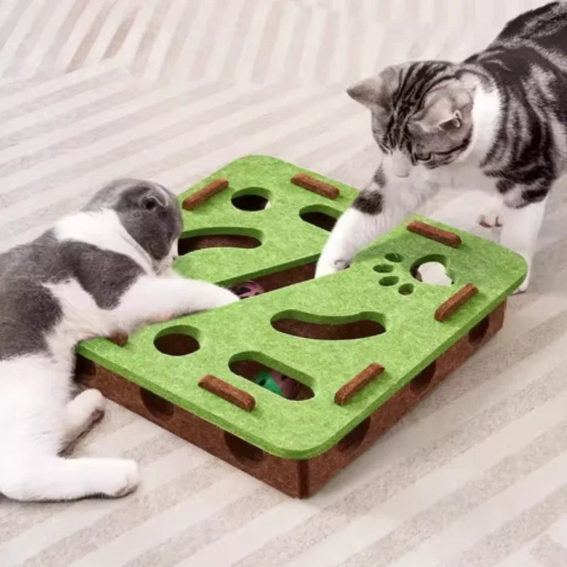 Interactive Cat Puzzle Box