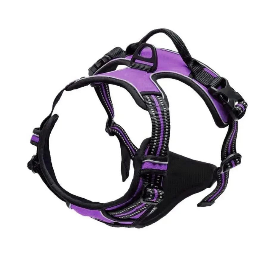 Leather Collar & Harness Set