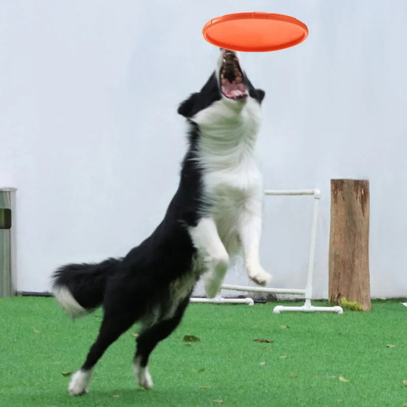 Flying Saucer Chew Disc