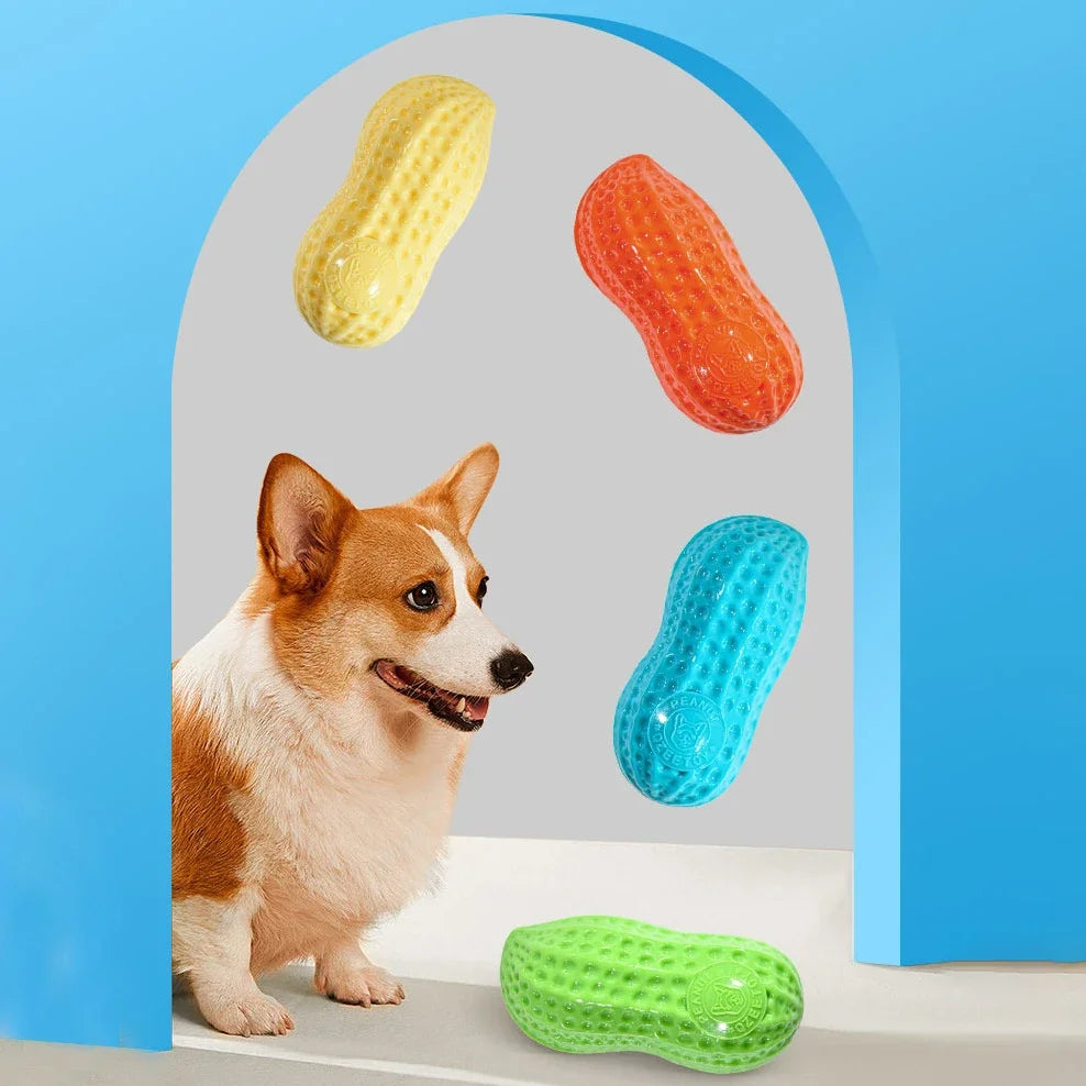 Squeaky Peanut Dog Chew Toy