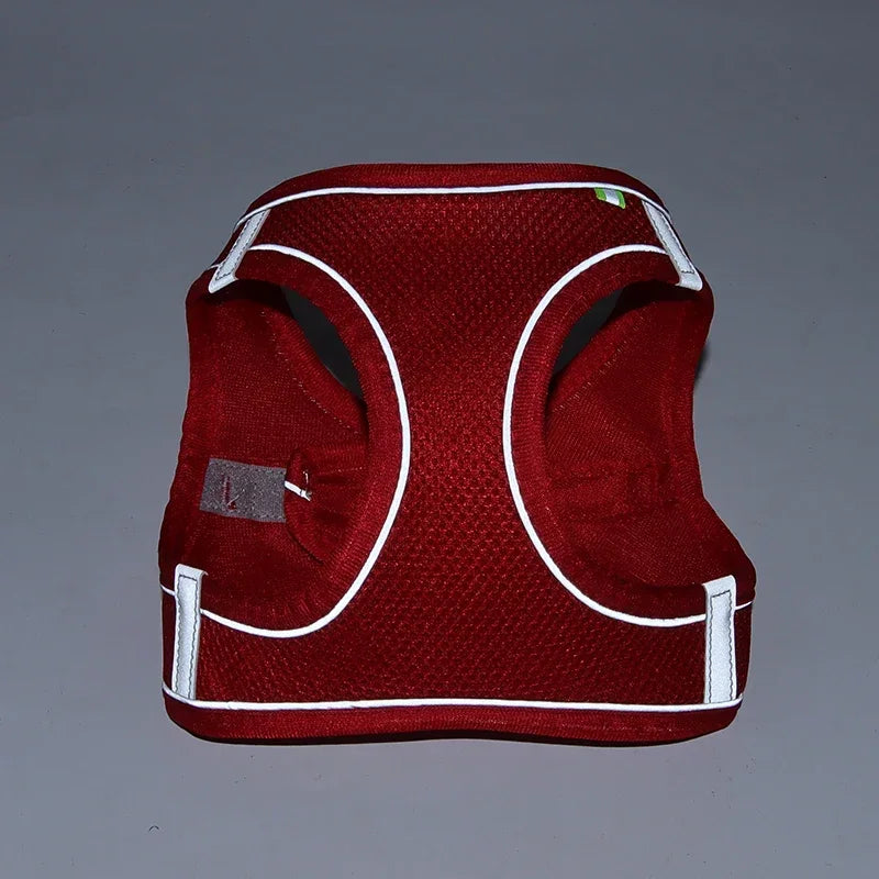Puppy Vest Harness Set