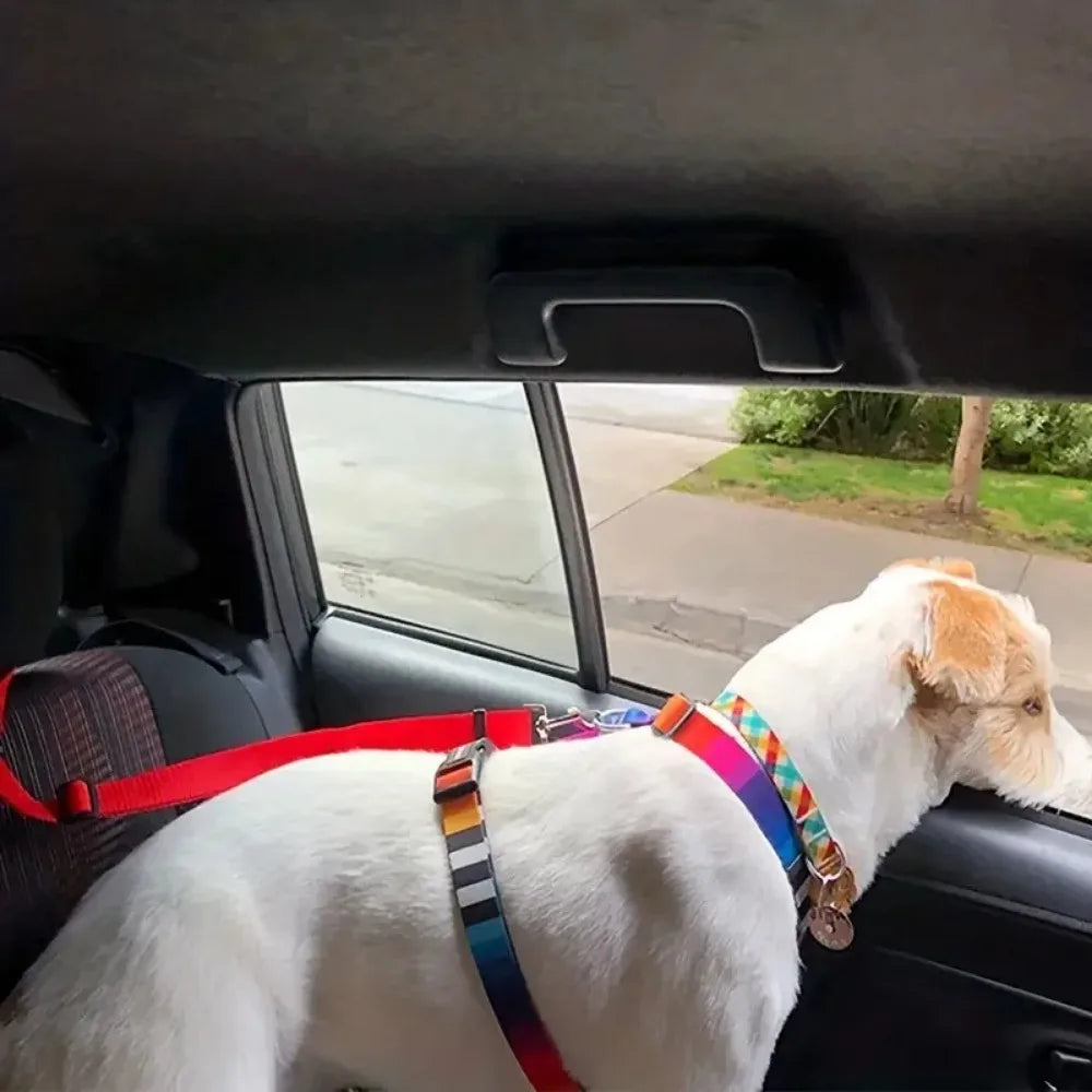 Pet Car Safety Belt