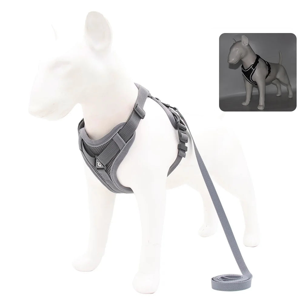 Small Dog Harness Set
