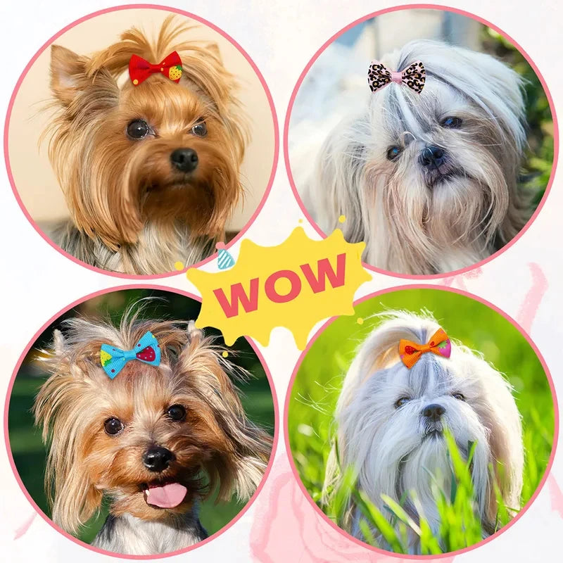Pet Hair Bows Set